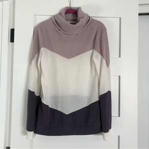 Colorblock Turtleneck